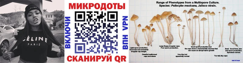 Псилоцибиновые грибы Magic Shrooms MEGA Олёкминск